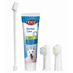 I 5 migliori spazzolini da denti per cani che faciliteranno la loro igiene orale
