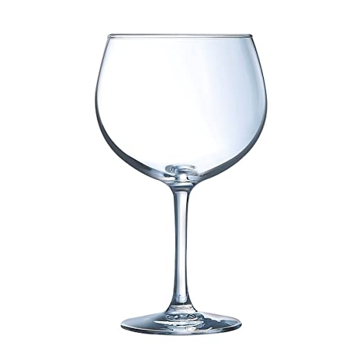 Bicchieri Gin, da Arcoro Ginepro,...