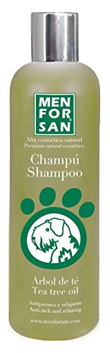 MENFORSAN shampoo con tea tree per...