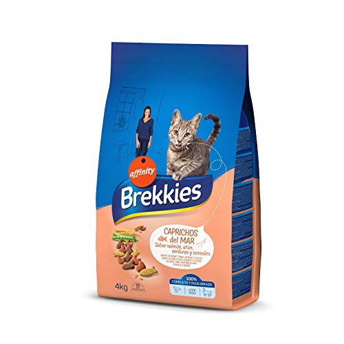 BREKKIES EXCEL cibo per gatti...