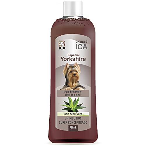 ICA CHPM19 Shampoo con Aloe Vera per...