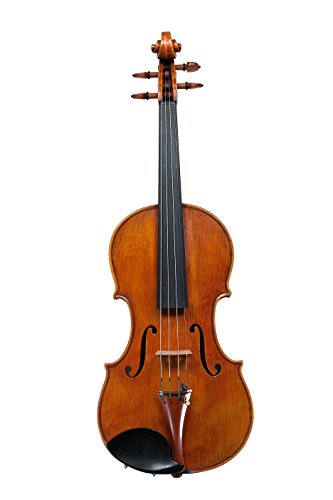 Maestro violino Guarneri del Gesù...