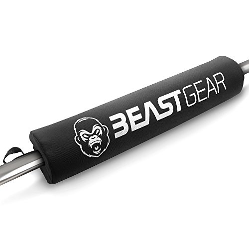 Beast Gear Paracolpi da...
