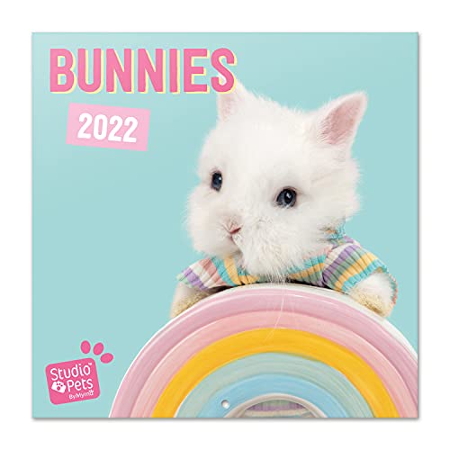 Studio Pets Conigli Calendario 2022 -...