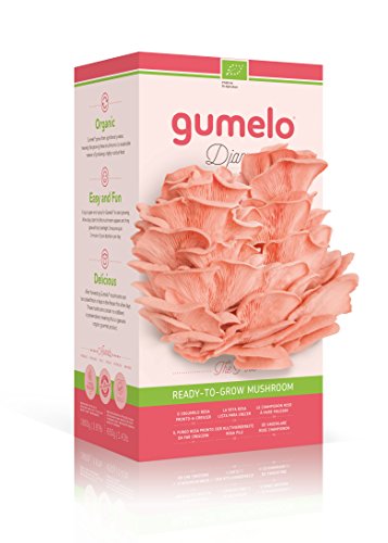 Gumelo - Coltiva il tuo kit biologico -...