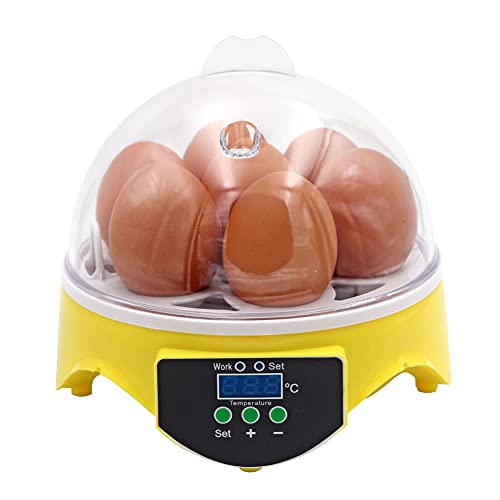 Incubatrice automatica per uova di gallina...