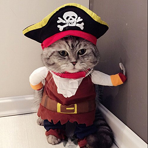 Idepet Pirata dei Caraibi Costume Gatto...